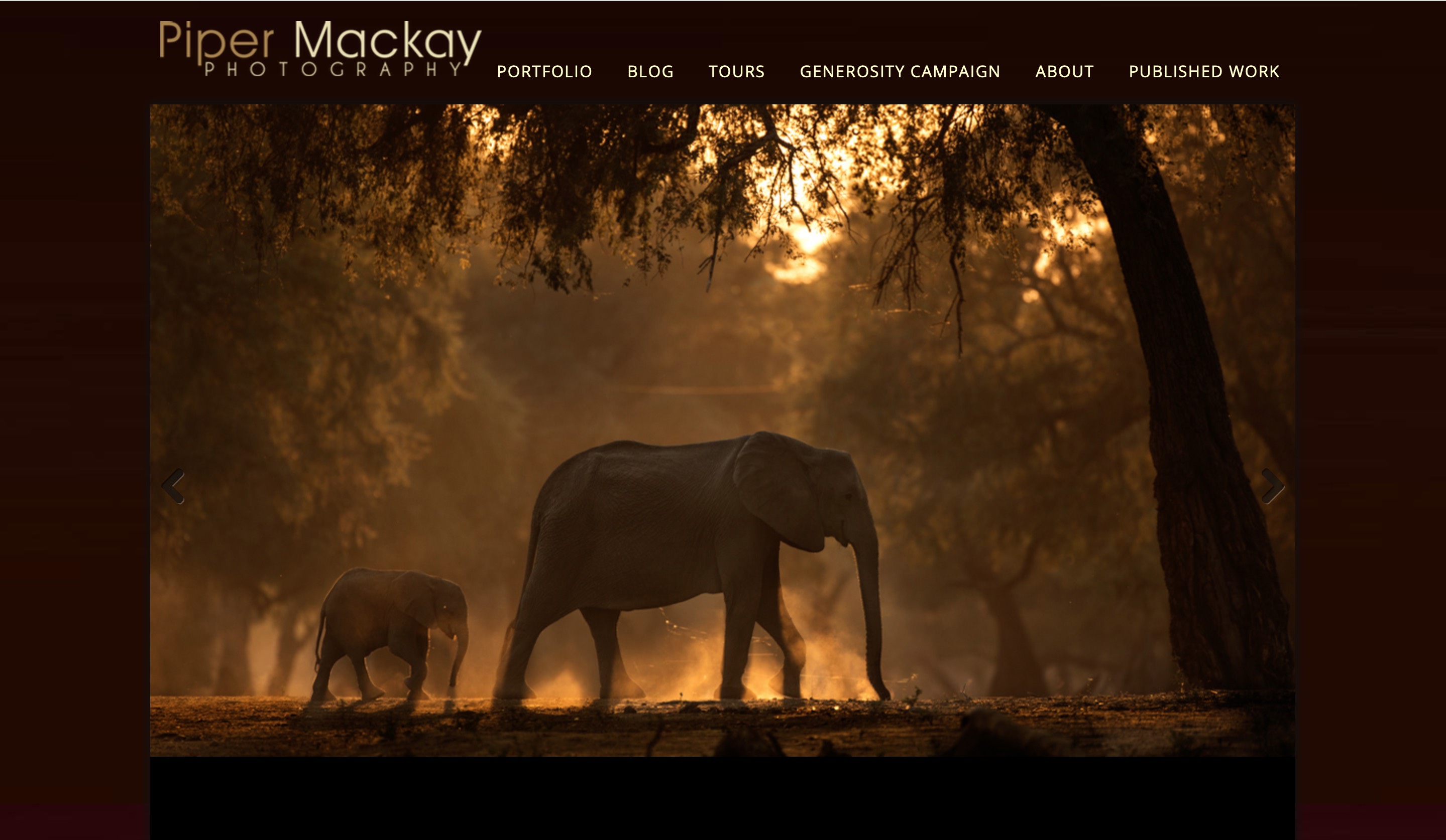 Piper Mackay website home page screenshot